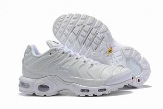 buy wholesale Nike Air Max TN Plus shoes women from china #25774
