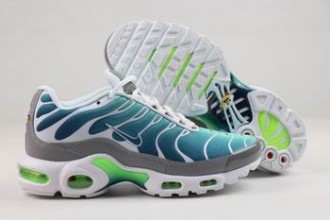 cheap Nike Air Max Plus TN shoes wholesale in china #28300