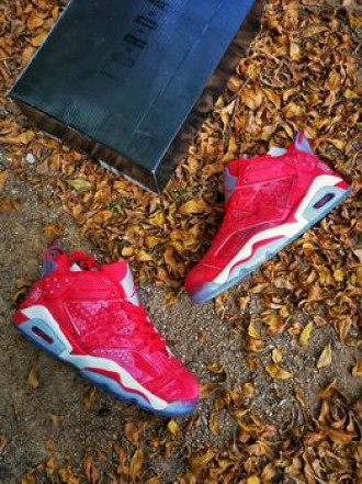 wholesale nike air jordan 6 shoes aaa women #27908