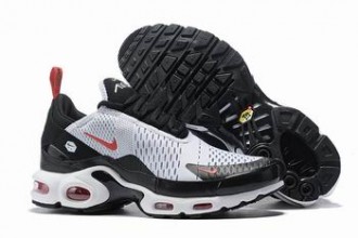 china cheap Nike Air Max Plus TN shoes wholesale #26261
