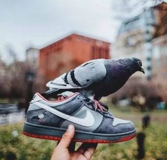 cheap nike dunk sb women from china #20196