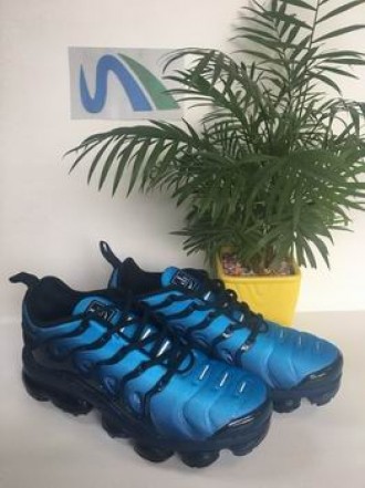 cheap Nike Air VaporMax Plus shoes from china #24515
