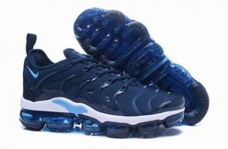 china cheap Nike Air VaporMax Plus tn shoes wholesale free shipping #24084