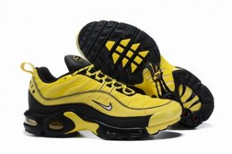 china cheap Nike Air Max Plus TN shoes online #26066
