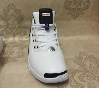 wholesale nike air jordan 17 shoes cheap online #19485