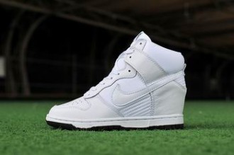 wholesale cheap aaa dunk sb #14511