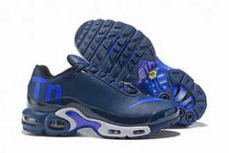 cheap wholesale Nike Air Max Plus TN shoes in china #25489