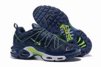 china cheap Nike Air Max TN Plus shoes free shipping #25757