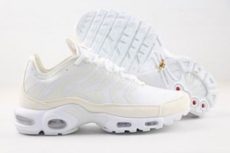 cheap wholesale Nike Air Max Plus TN shoes online from china #105030012