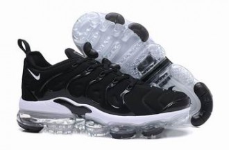 china cheap Nike Air VaporMax Plus tn shoes wholesale free shipping #24089