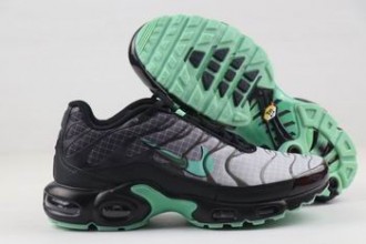 cheap Nike Air Max Plus TN shoes wholesale in china #28299