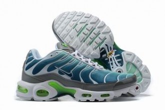 china cheap Nike Air Max Plus TN shoes #879142017
