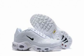 china cheap Nike Air Max TN Plus shoes free shipping #25758